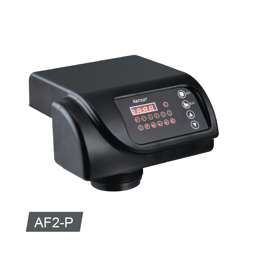 自动过滤阀AF2