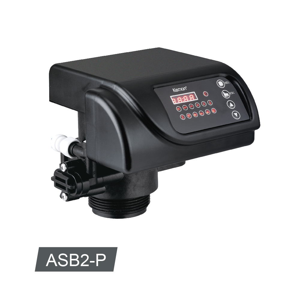 自动软化阀ASB2